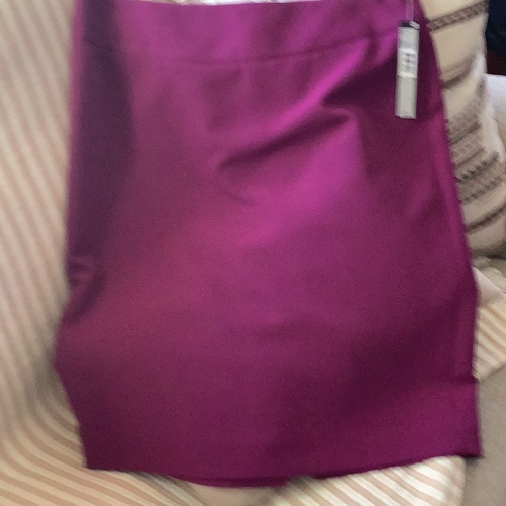 Skirt tahari  size 10. Dark pomegranate. NWT. Knee length